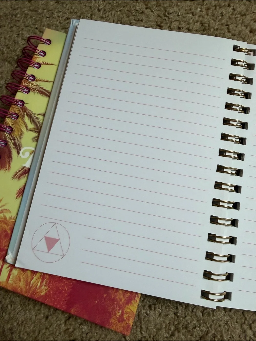 Source Unknown Spiral Notebook Duo - Pink, Yellow, Green, Blue